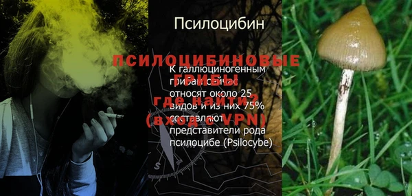метадон Ростов