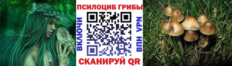 Галлюциногенные грибы Cubensis  mega ТОР  Дальнереченск 